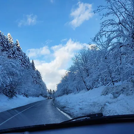 דירה Lena קופרס