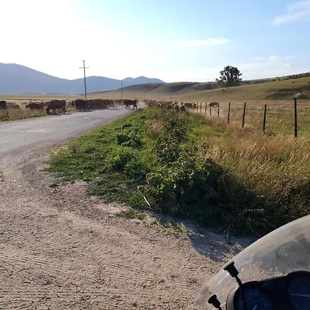 Lena Apartament Kupres (Canton 10)