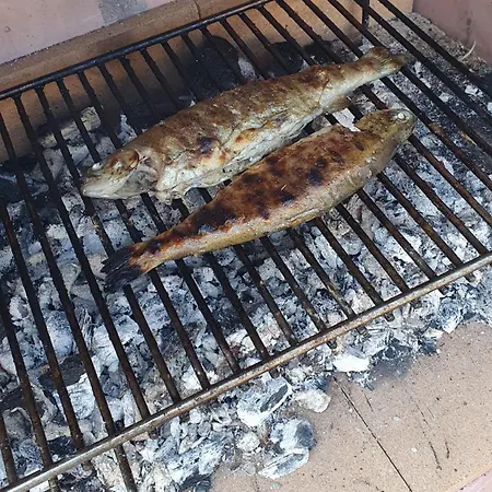 Lena Kupres (Canton 10)