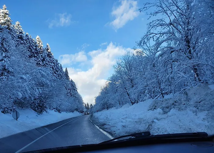 公寓 Lena 库普雷斯