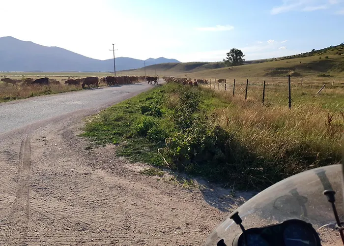 Lena 公寓 库普雷斯