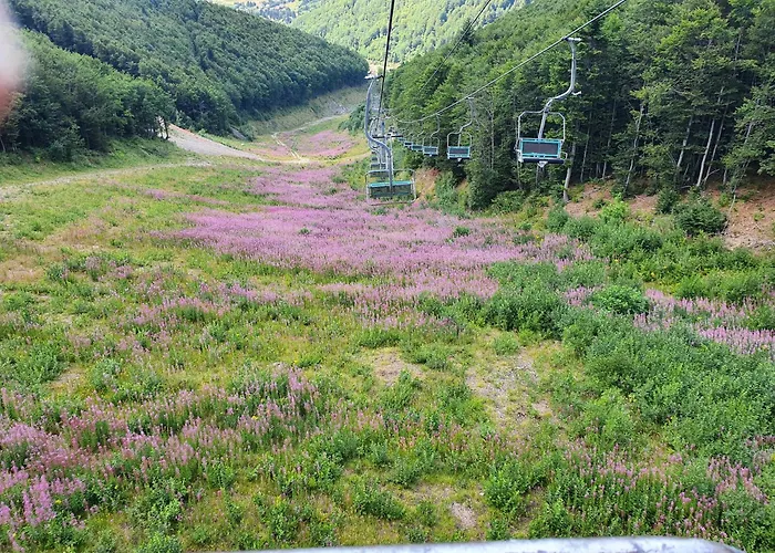 公寓 Lena 库普雷斯